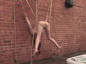 Sasha Grey Bonus Update