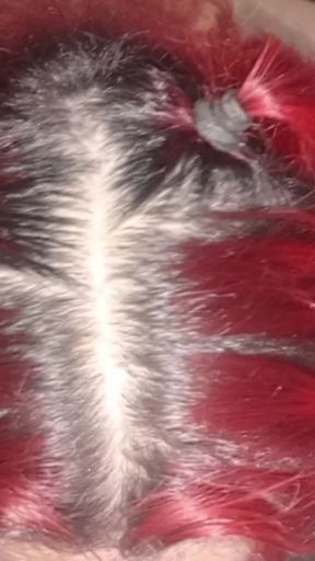 POV Blowjob From a Beautiful 20-year-old Trans Woman