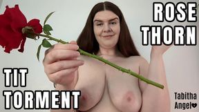 Rose Thorn Tit Torment MP4