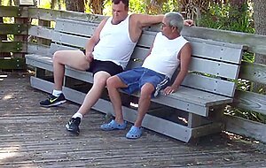 older gays have sex in public park