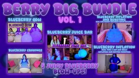 Berry Big Bundle Vol. 1