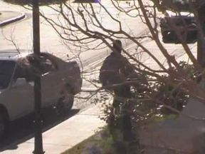 Lady Fellatio in the Dog House