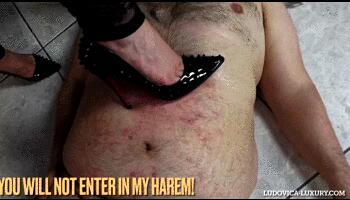 YOU WILL NOT ENTER IN MY HAREM! -hd