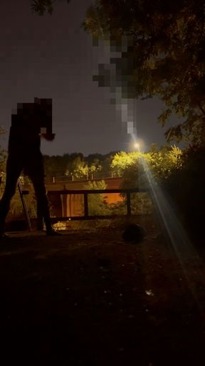 Strip naked and put fishnet body stocking on , walk around wanking at roadside and caught whilst getting naked