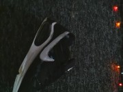 Nike AirMax Command and Soccer Uniform [prev.]