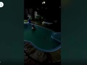Brazilian skinny dipping on scope