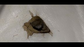 I fuck with the mattress and lick my sperm from the hole in the mattress