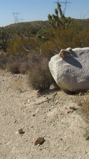 Desert Hike Jerkoff 2