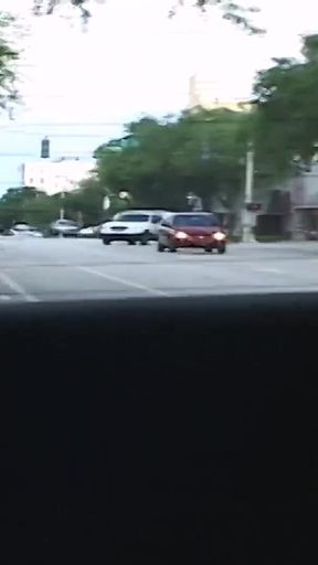 Robyn Foxx Dildos Her Pussy in My Back Seat