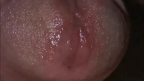 Very Close-up Red Head and Fresh Cock Juice