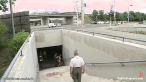 ”Natural big breasted Romanian ass pumping public sex”