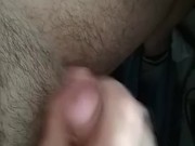 ¿Te gustan las pollas gordas?