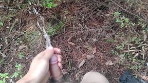 山间初体验，惊喜不断