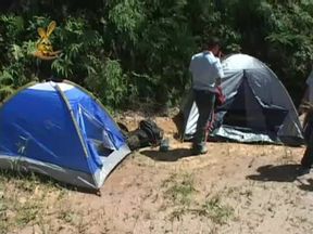 Camping Fun - Dvd