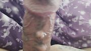 world cup xxx jacking off  guy
