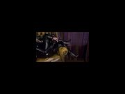 PVC Pussy Cat Cleans Herself