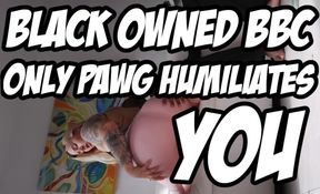 Black OWNED BBC Only PAWG Humiliates You