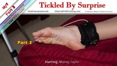 Tickled By Surprise 1 - Part 3