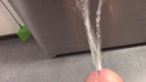 Peeing on my Kithchen Appliances (With Slow Mobility Replay)
