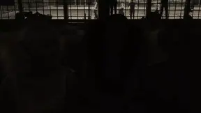 Hot girl rides best monster cock in history