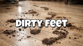 Dirty Feet Compilation - Early Video Edition