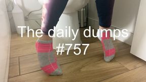 The daily dumps #757 mp4
