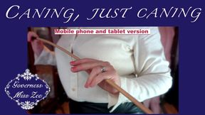 Caning, just caning 
- mobile and tablet friendly version