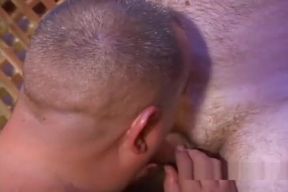 legend chubby bear joe falconi 1