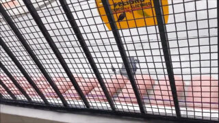 Amatőr melegek, nagy fasz seggbe dugva