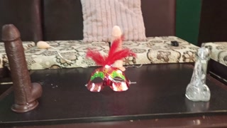 Trío en casa fulll leche me fui en chorro muy ricooo me lo metí por el culito pero no entraron los 3