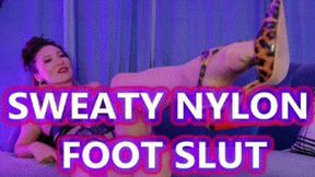 Sweaty Nylon Foot Slut - Mz Kim Asian Goddess Foot Domination With Sweaty Feet, Vintage Stockings, Foot Slave Training WMV