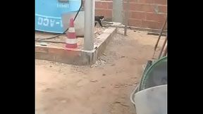 Maicola comendo a gatinha na constru&ccedil_&atilde_o
