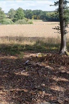 Fucked at the Edge of the Forest