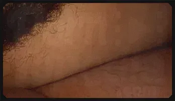 Daisy Summers' Brazilian Carnival Passion