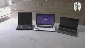 Three Laptops for her Buffalos
