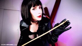 A Cruel Caning For The House Slave - 720p