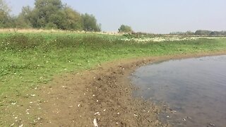 Jons mud fun at lake in 2016