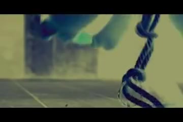 Skin Diamond Squirts DL286