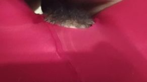 Intense Encounter with a Lush Beauty: A Wild Experience You Can't Miss!