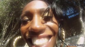 Tranny Orgy in the pool