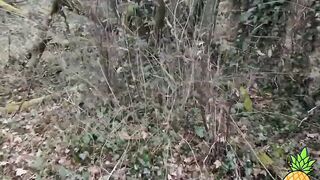 French Blondie LouLou Sucks Outdoors - Public BJ in Paris