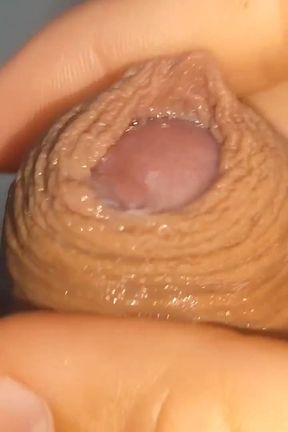 Its Source of Protein Is Already Dawning Like Rock