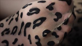 Leopard Pantyhose Tryon