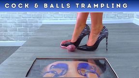 Stomped Under My Wild Stiletto Heels (D79) - Slave POV Cam - Cock & Balls Trampling