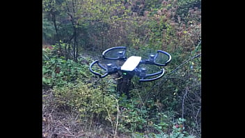 Drone on Lummi Island