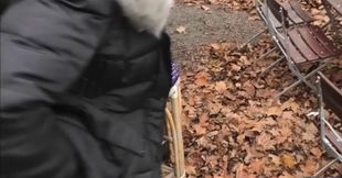 Autumn blowjob with fucking in Dresden