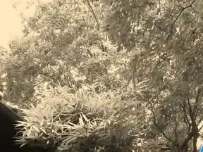 Sizzling Hot Mom Aoba Itou Kneeling Down to Seduce Younger Cock