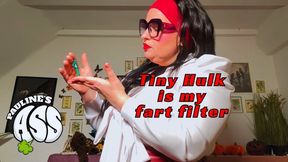 Tiny Hulk is my fart filter wmv