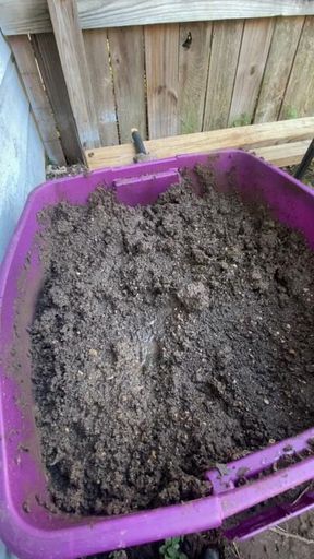 Thick and creamy mud