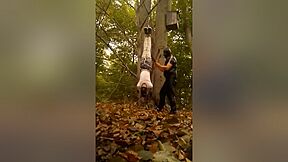 Suspension Im Wald